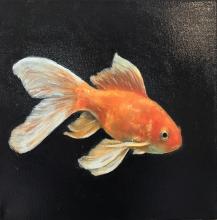 Goldfish